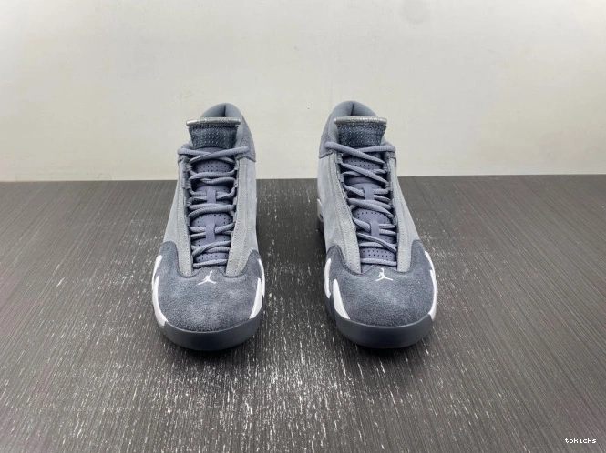Reps TB Flint 14 Air Grey Jordan FJ3460-012 0715